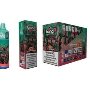 Bang Box 12000 Puffs A Masterpiece of Flavor and Style Watermelon Bubble Gum6
